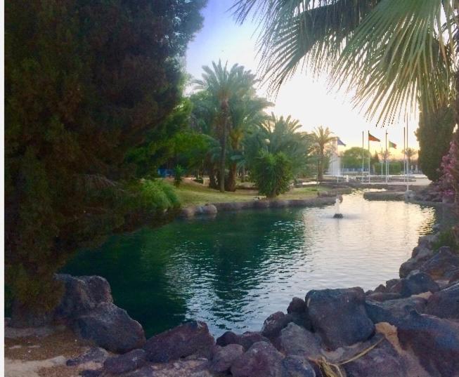 Beautiful Apartment Near Lamata Beach With Panorama Sea View!!! Torrevieja Exteriör bild